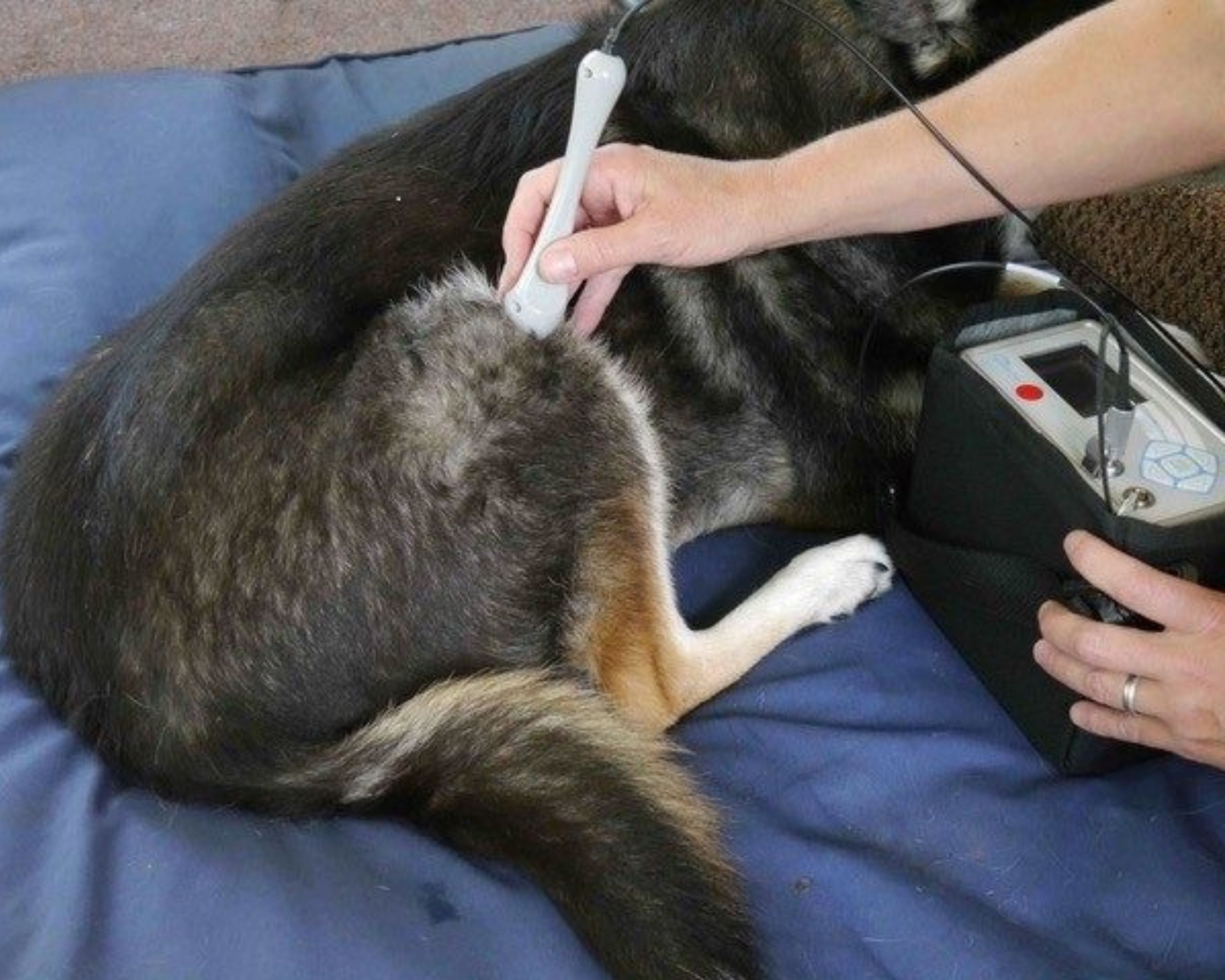 Breaking It Down: Understanding Laser Classifications for Laser Therapy