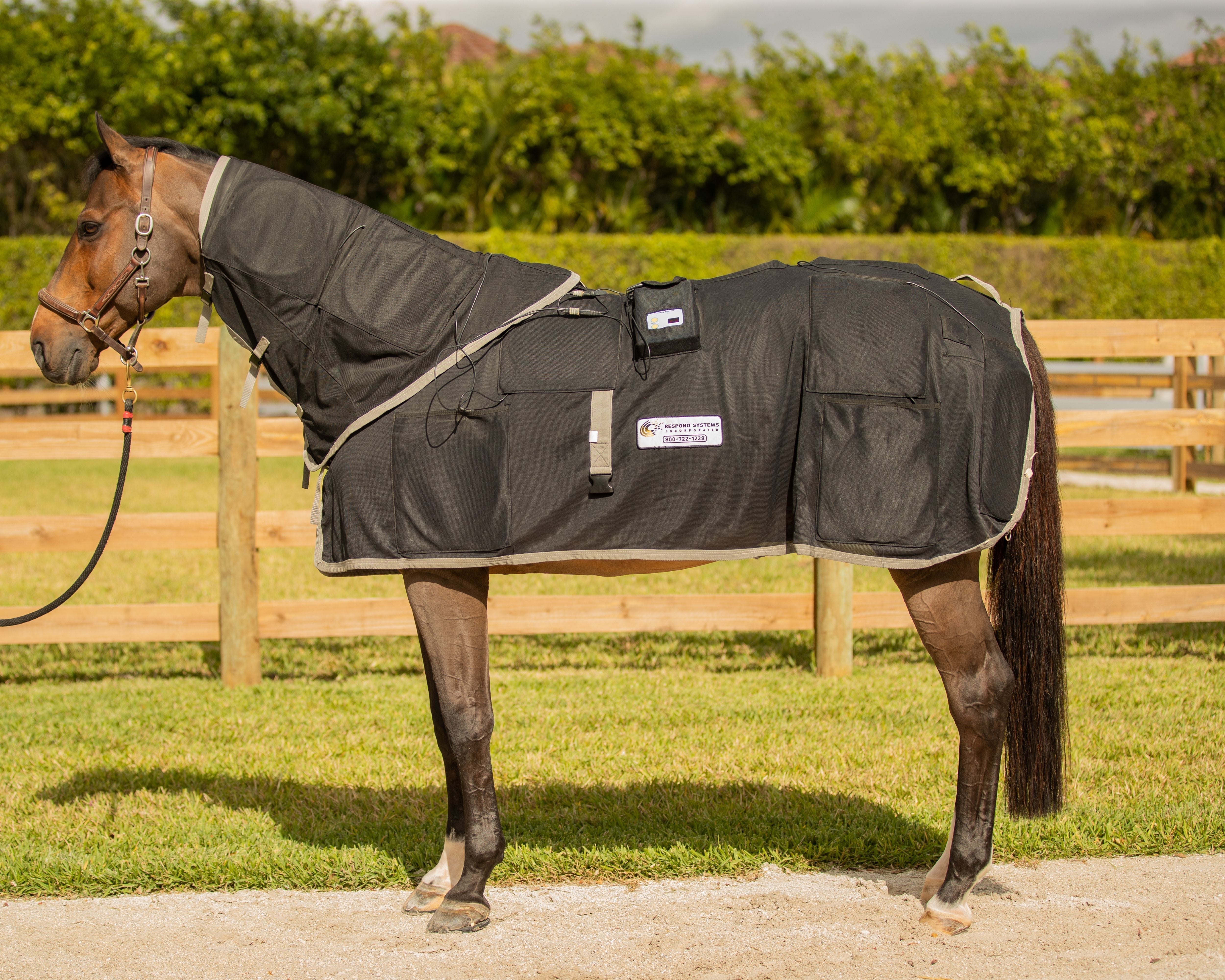 Benefits of a PEMF Blanket vs. High-Powered PEMF
