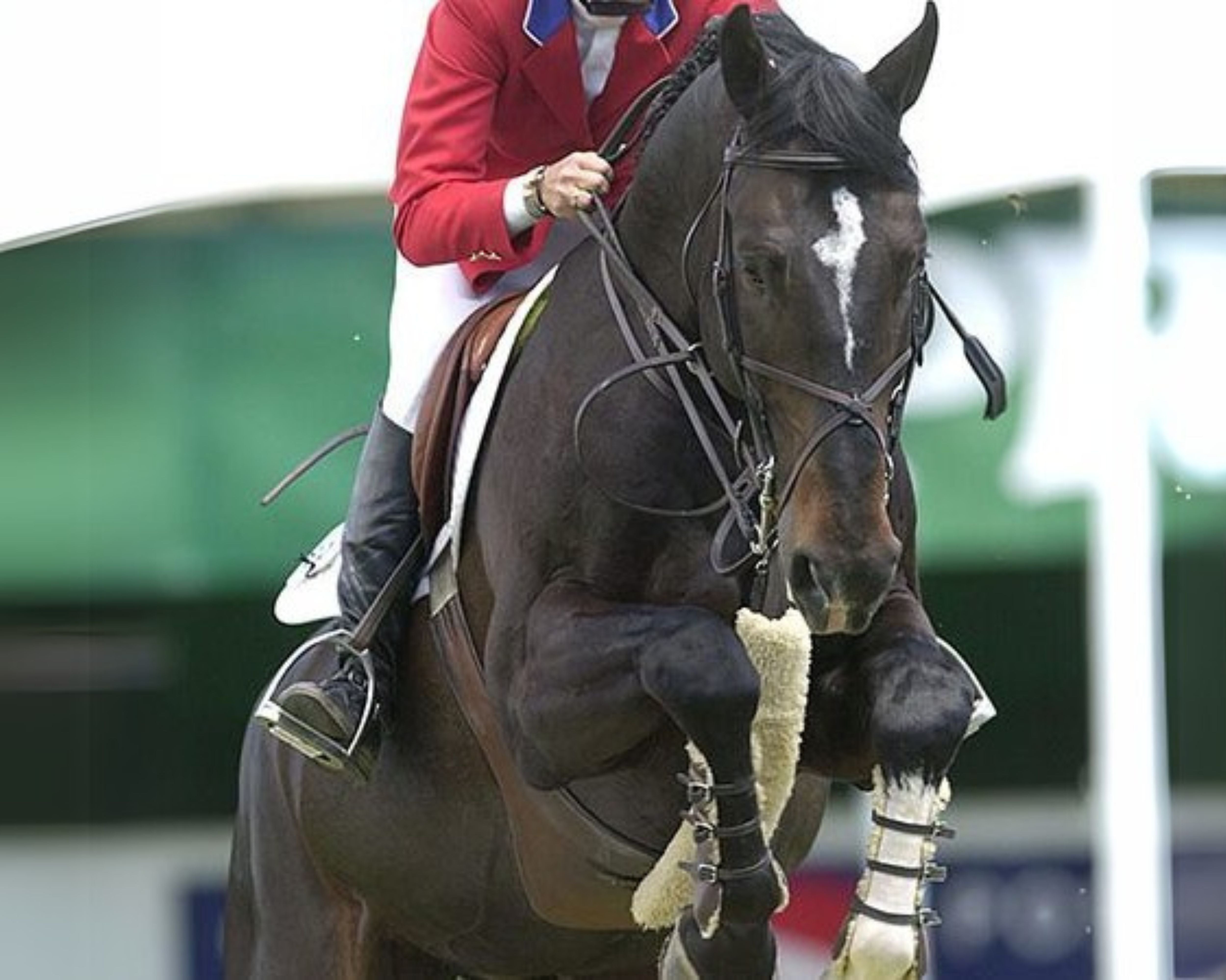 Beezie Madden Uses Sentry Blanket for Performance & Recovery