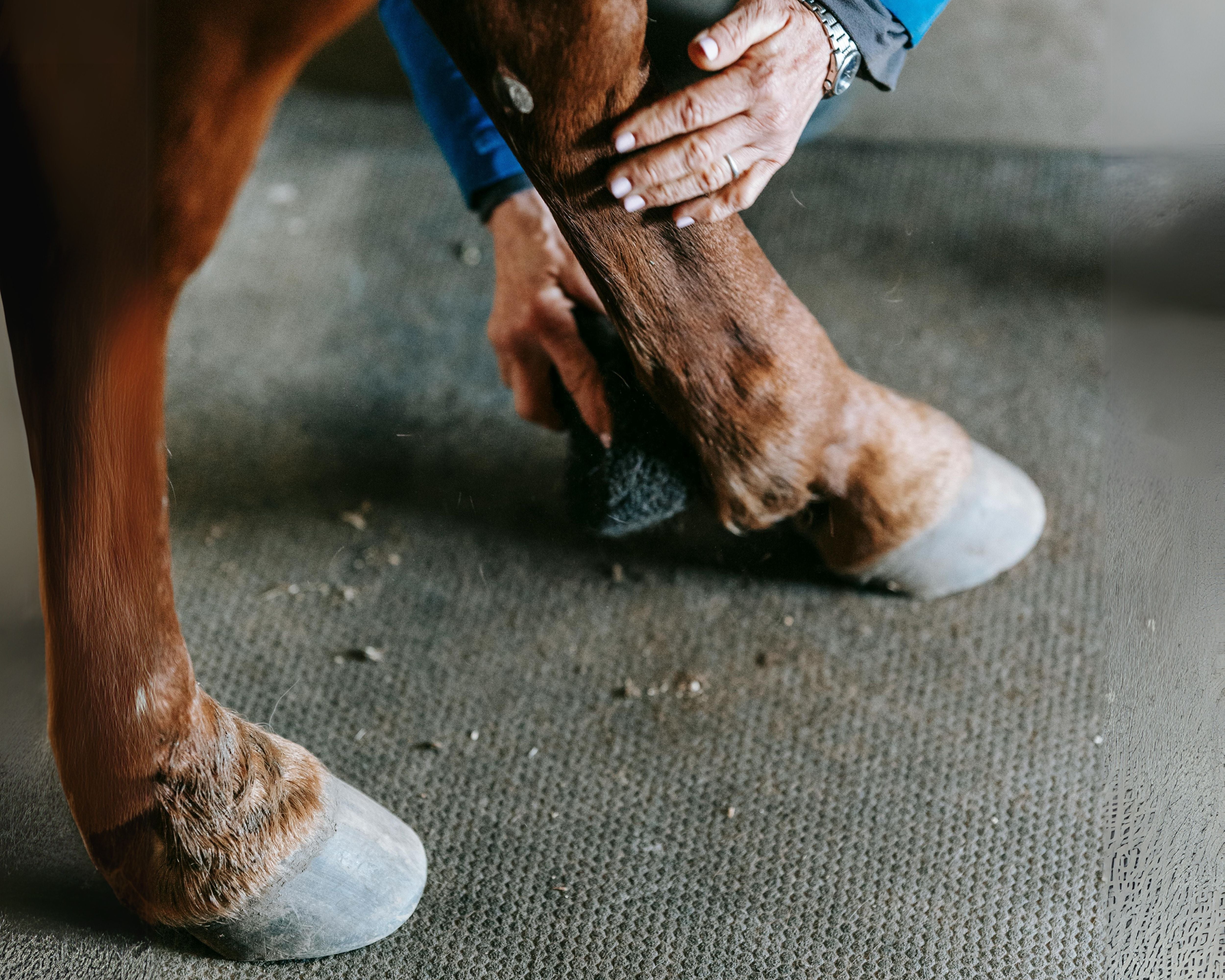 Combating White Line Disease