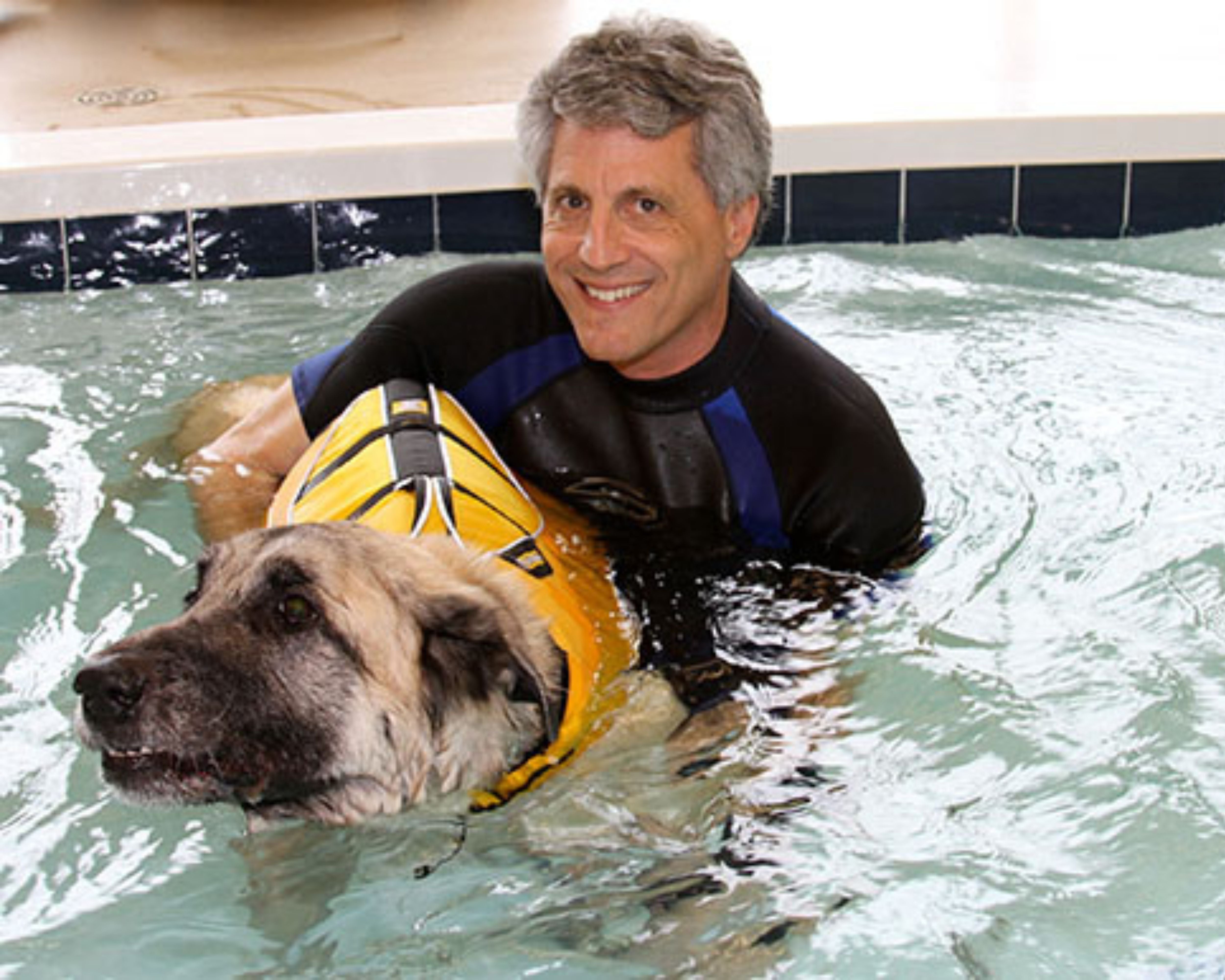 Why Dr. Steinberg Trusts Respond Laser for Veterinary Rehab