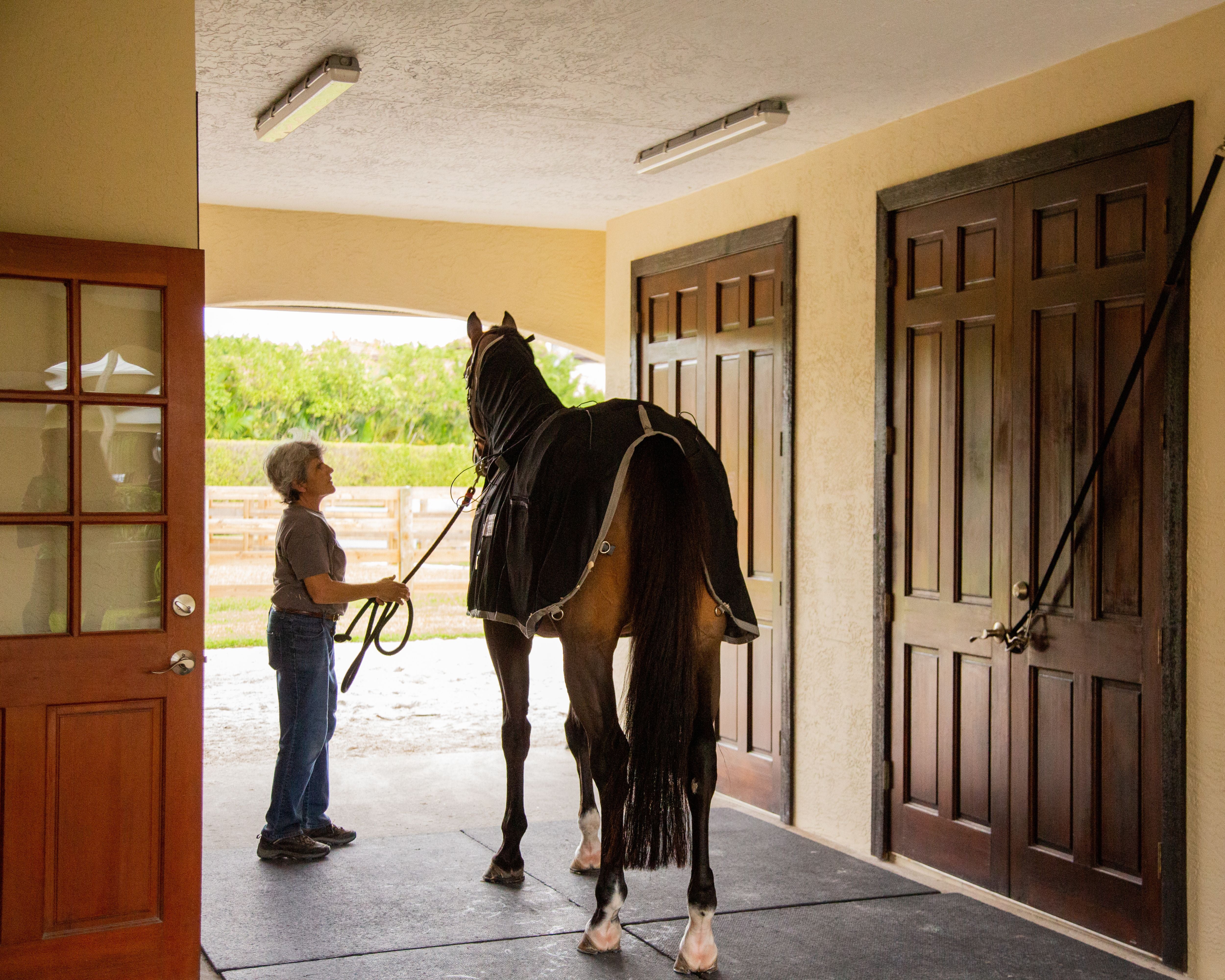 Misdee W. Miller Trusts the Respond Sentry Blanket for Her Horses