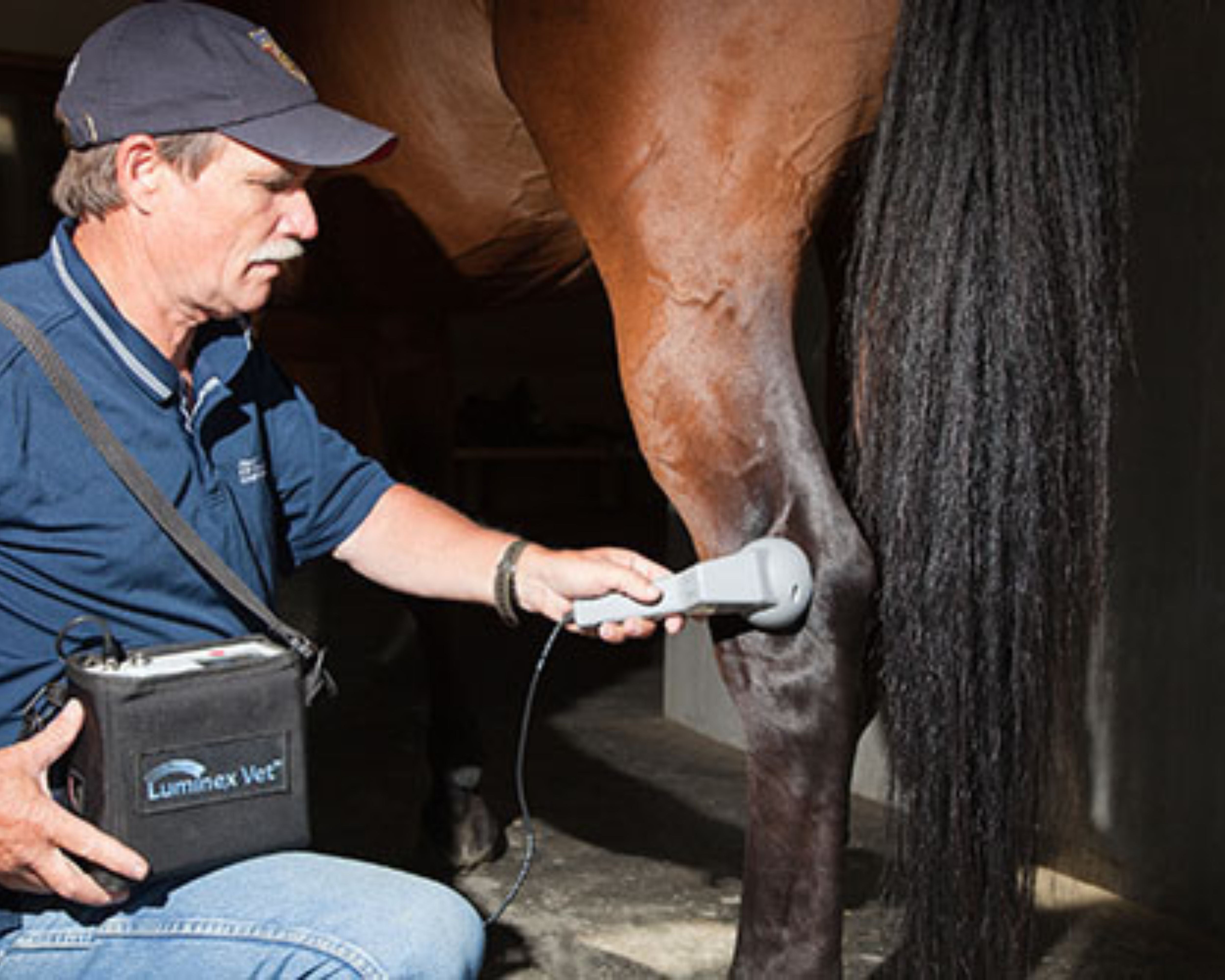 Tom Meyers Trusts Luminex Vet Laser for Equine Therapy