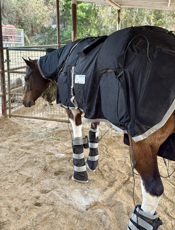 Total Care for Equine Athletes