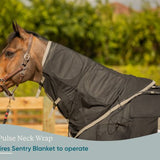 Equine PEMF Neck Wrap