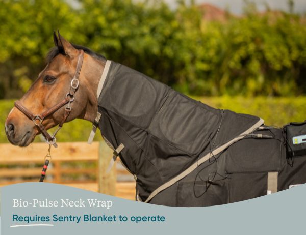 Equine PEMF Neck Wrap