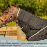 Equine PEMF Neck Wrap
