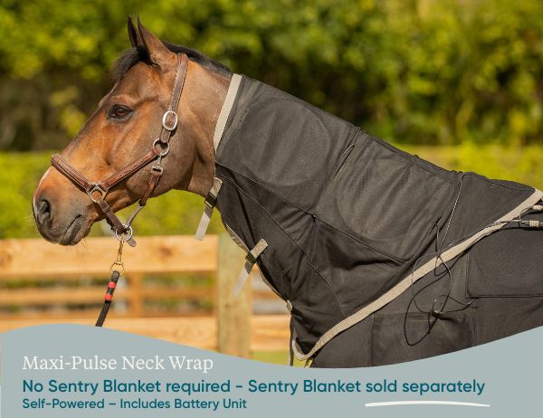 Equine PEMF Neck Wrap