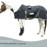 Equine PEMF Leggings/Hoof Coil