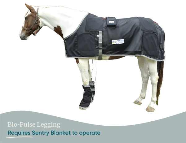 Equine PEMF Leggings/Hoof Coil