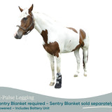Equine PEMF Leggings/Hoof Coil
