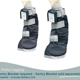 Equine PEMF Leggings/Hoof Coil