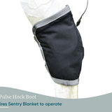 Equine PEMF Hock Boot