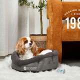 Bio-Pulse PEMF Bed Mini