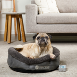 Bio-Pulse PEMF Bed Mini