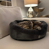 Bio-Pulse PEMF Bed Mini