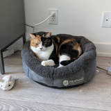Bio-Pulse PEMF Bed Mini