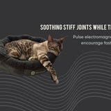Bio-Pulse PEMF Bed Mini