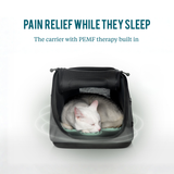 Sleepypod Air PEMF Therapy System (Up to 18lbs.)
