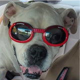 Doggles
