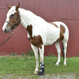 Equine PEMF Leggings/Hoof Coil